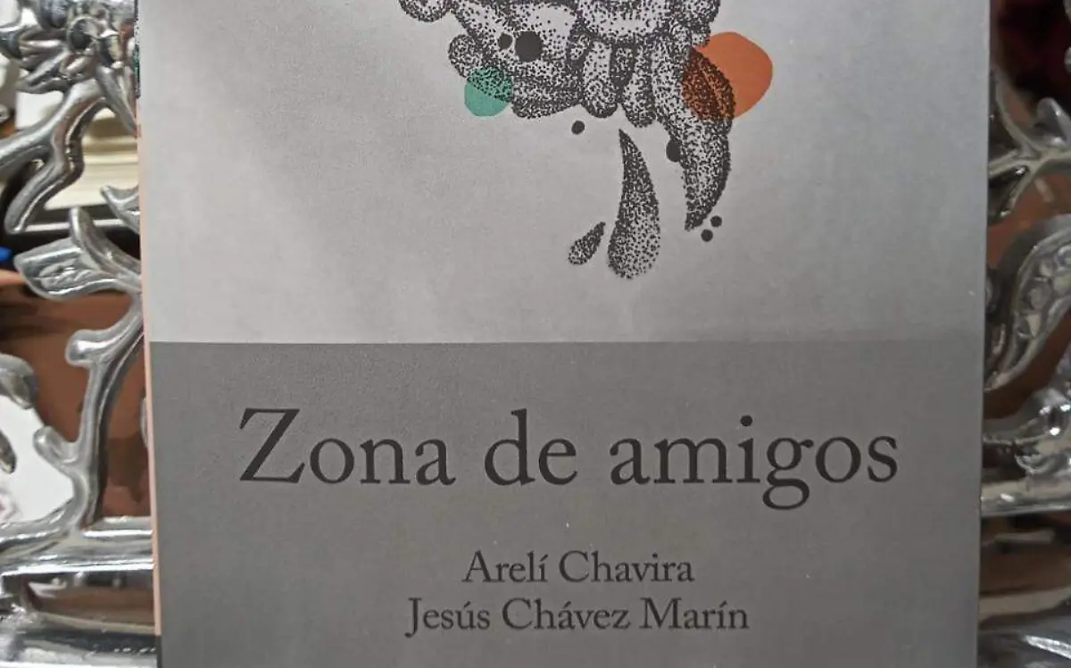 zona de amigos libro